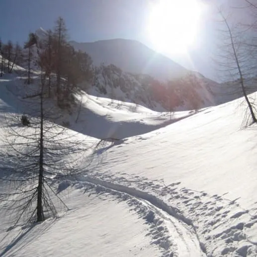 Schnee-bis-zum-Abwinken